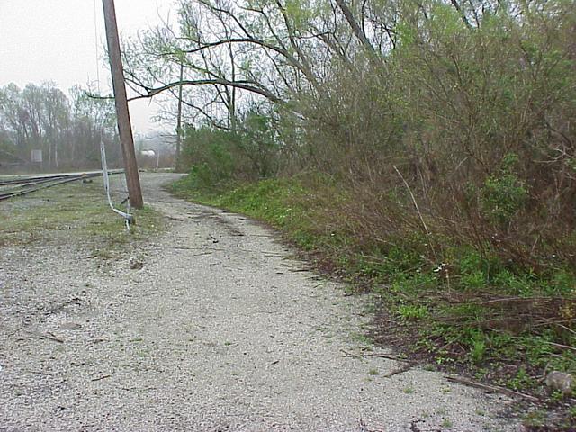 View to the east from the confluence site.