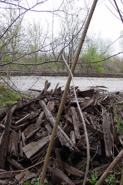 Looking North from the confluence