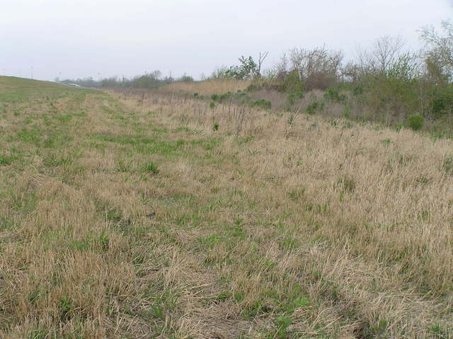 View to the west from the confluence.