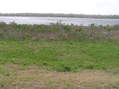 #8: View to the south from the levee:  The Intracoastal Waterway.