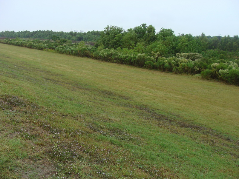 Looking down over 30N 90W from atop the levee to the southeast.