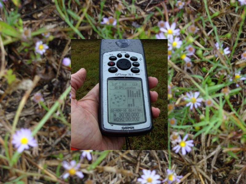 Ten zeroes with some flowery ground cover.