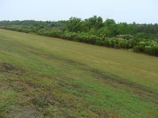 #1: Looking down over 30N 90W from atop the levee to the southeast.