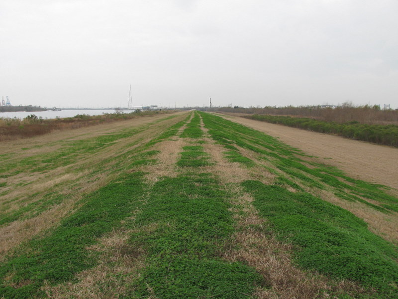 West from the levee