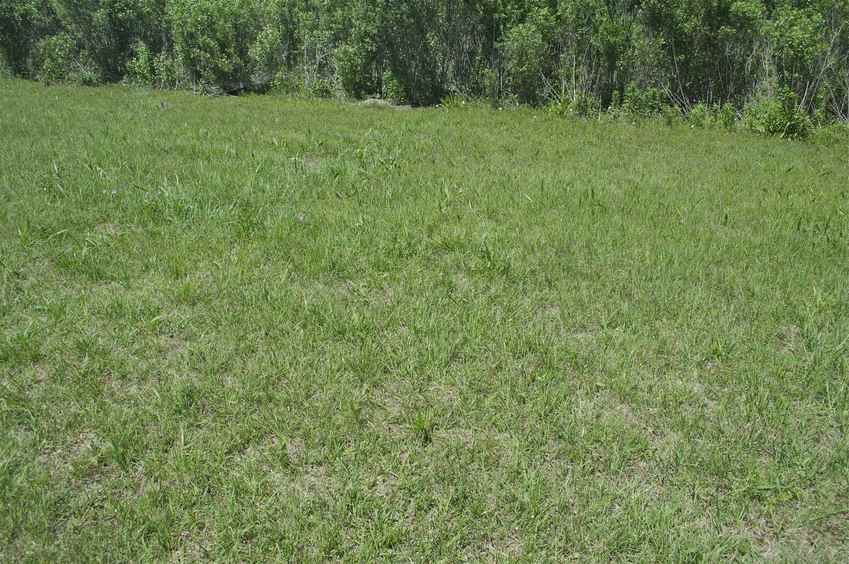 The confluence point lies in this flat grassy area, near a creek (with a levee behind me)