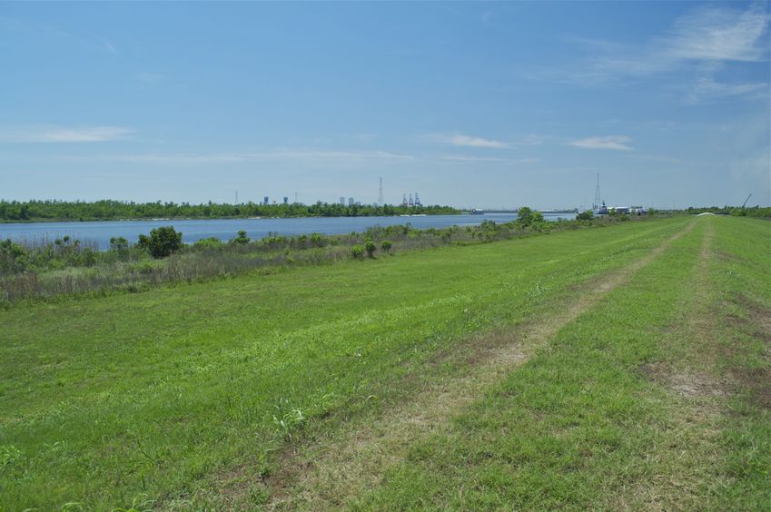 A much more interesting view to the west - taken from the top of the levee