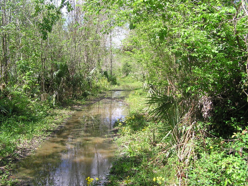 View to the north from the confluence.