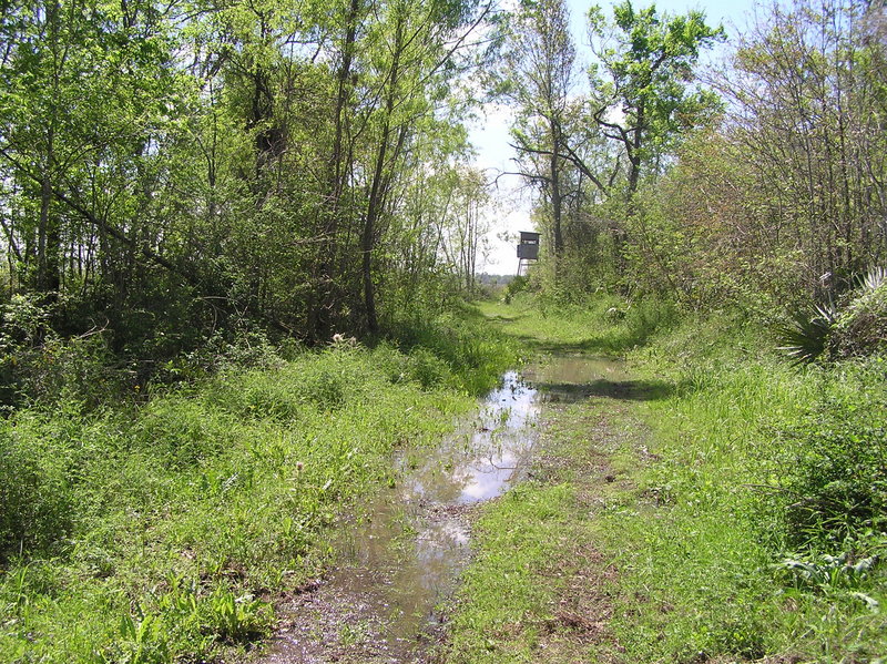 Tower in the distance, 200 meters northwest of the confluence, looking west.