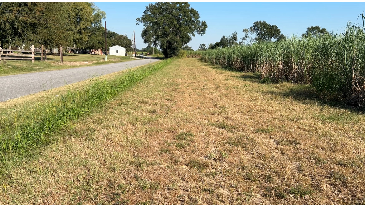 Nearest road to the confluence, looking east. 