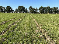 #2: View to the north from the confluence .