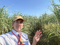 #9: Surrounding fields of sugar cane. 