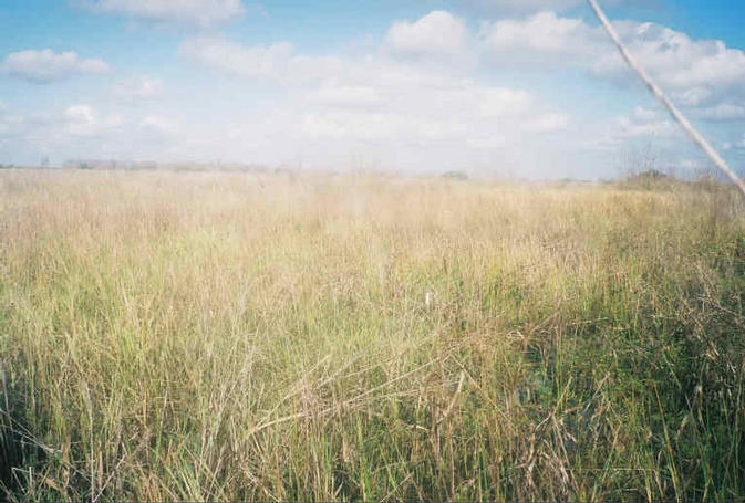 Looking North from the confluence