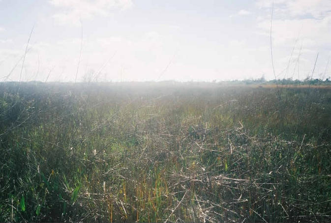 Looking South from the confluence