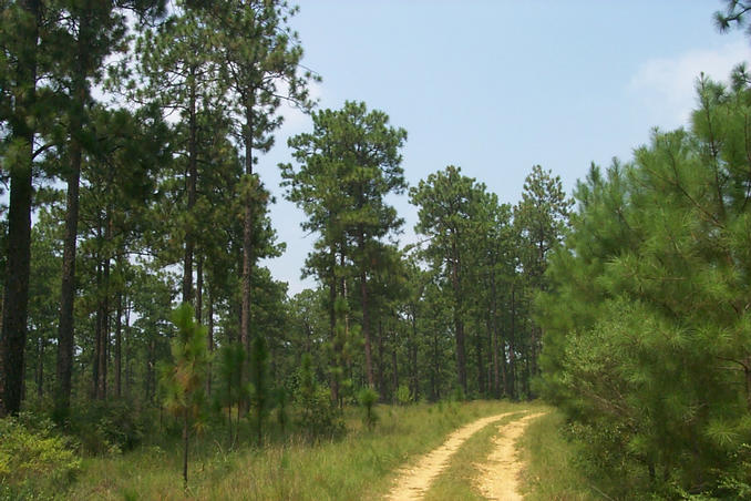 A view at the confluence.