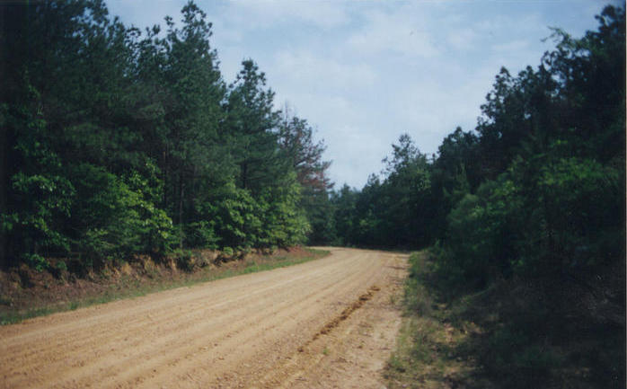 Looking south down Wyant Rd. from the same place.