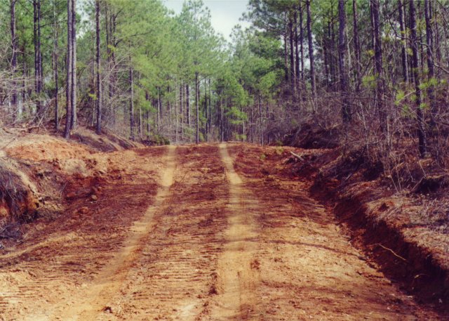 Logging road that leads there.