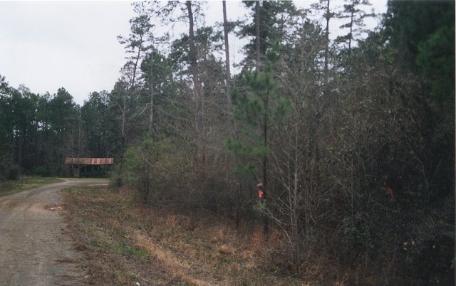 Looking south toward intersection, point is right.