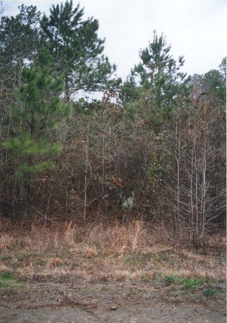 Orange flag marks the spot.