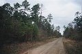 #2: Looking north up road from southeast of point marked by orange flag in bushes to left.