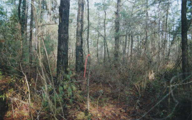 Orange flagging marks the spot.