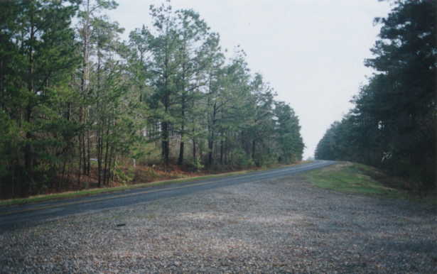 Looking east on LA 167.