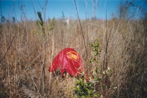 #1: Red jacket marks the spot.  Pale stalks are cypressweed, dark ones are blackberry canes.