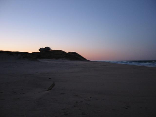 looking North, up the beach