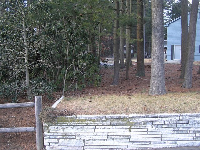 View looking North from the confluence