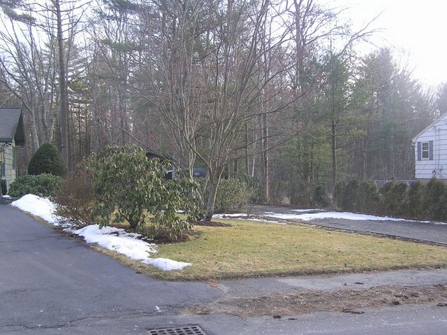 View looking South from the confluence