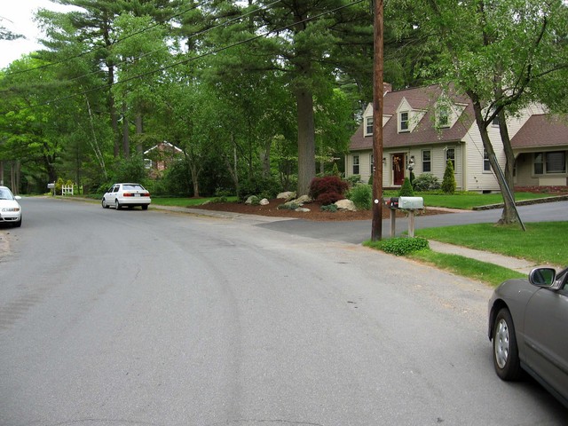 Looking east down Mile Brook Road.