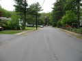 #4: Looking west down Mile Brook Road.