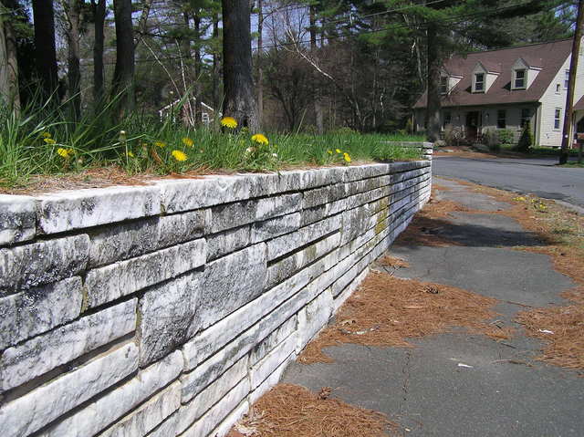 View to the northeast from the confluence.