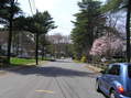 #6: View to the west from the confluence.