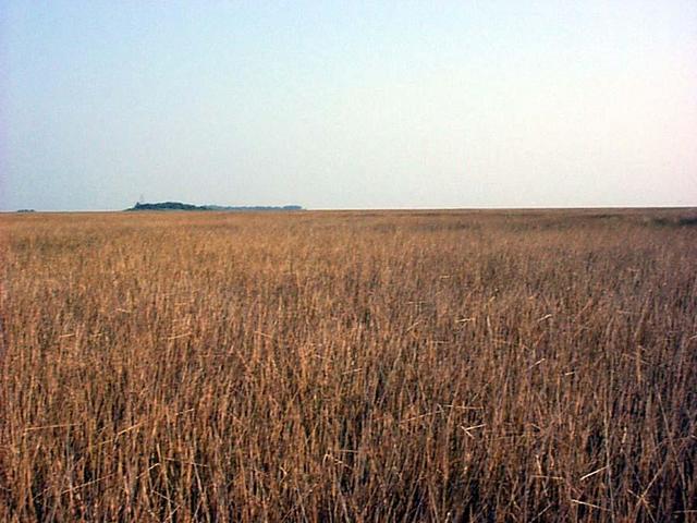 View to the North - Lookout Tower in the distance