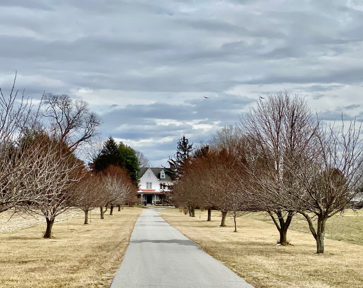 A nearby farmhouse