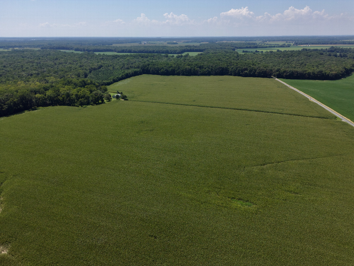 View West, from 120m above the point