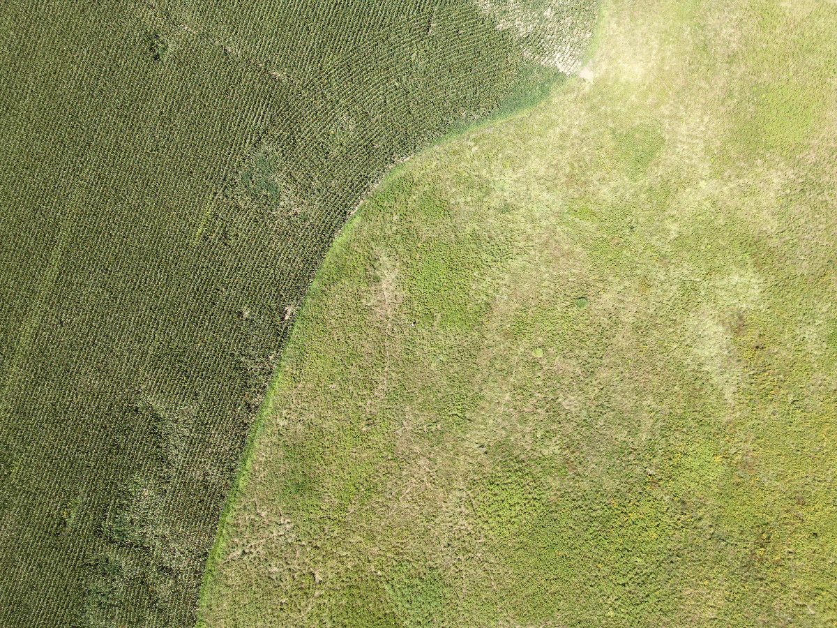 Looking down on the point from a height of 120m