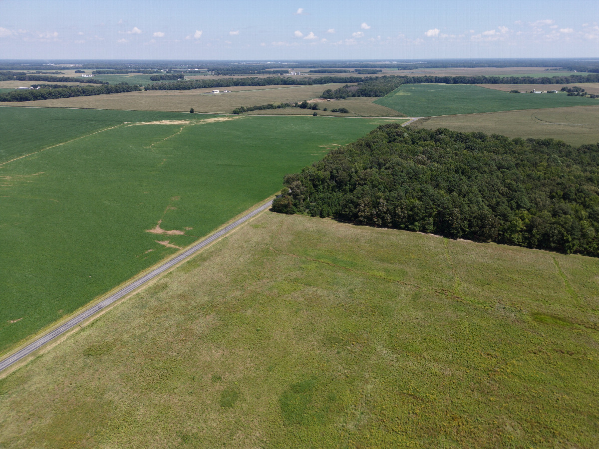 View East, from 120m above the point