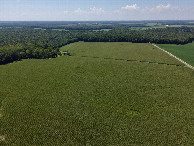 #11: View West, from 120m above the point