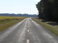 #6: View along the nearest road, 300 meters from the confluence, looking south.