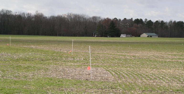 A recent addition are some sort of curving survey markers.