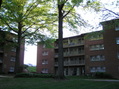 #5: View to the southwest from the confluence.