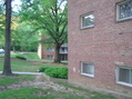 #7: View to the northeast from the confluence point.