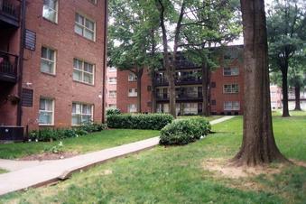 #1: Flower Brtanch Apartments, view west from confluence.