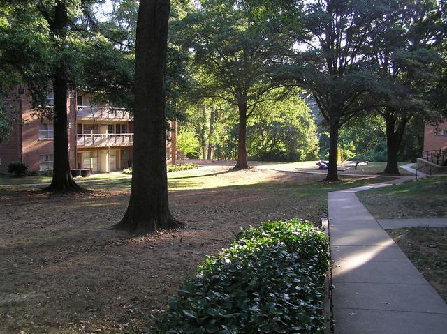 View to the east from the confluence.