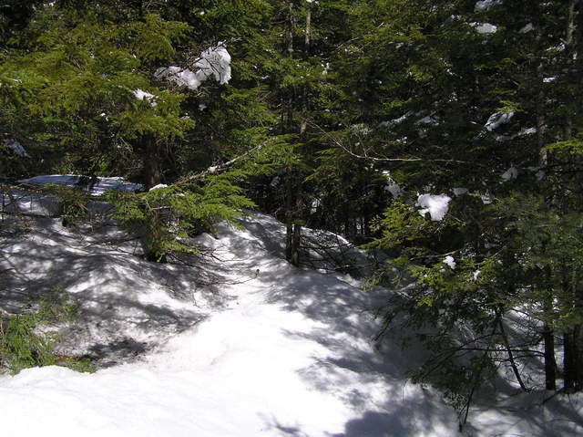 View to the east from the confluence.