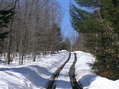 #6: Road beckoning onward...closest road to the confluence, about 1 km south of point.