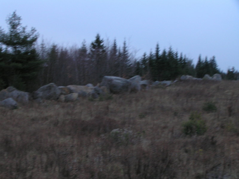 Typical terrain and vegetation of the area near the confluence. 