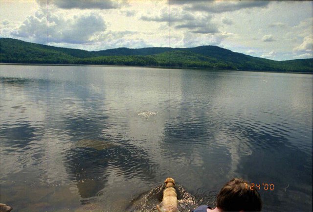 Lucky swimming out to the confluence