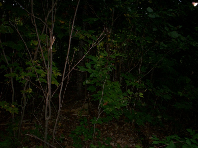 It was getting dark. This is West from the confluence.